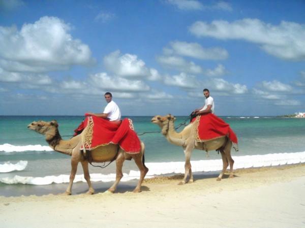 Djerba photo