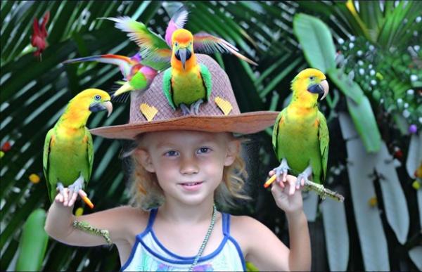 Bird Park Bird Paradise photo